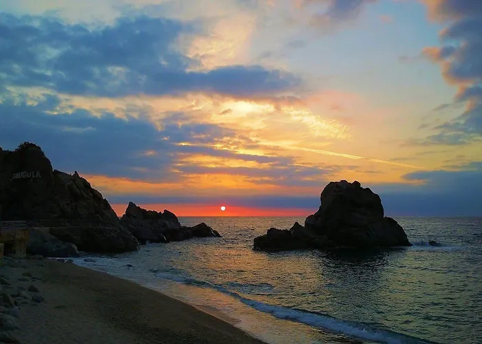 酒店 Club Cala Longa 4*